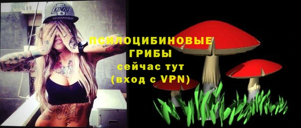 хмурый Балахна