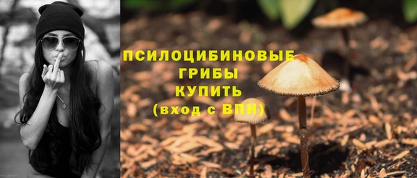хмурый Балахна