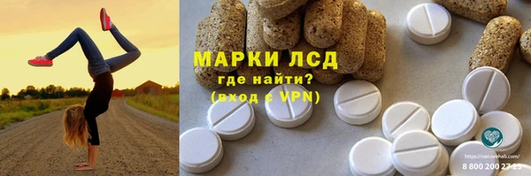 ПСИЛОЦИБИНОВЫЕ ГРИБЫ Баксан