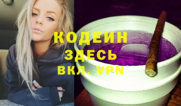 сатива Няндома