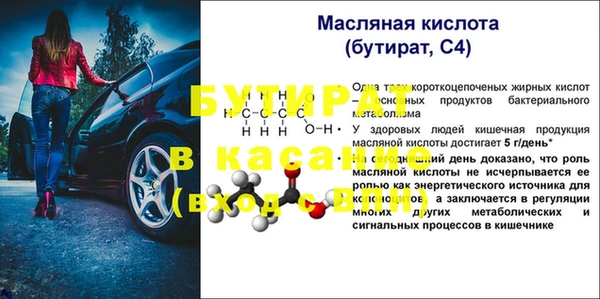 сатива Няндома