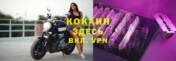 ПСИЛОЦИБИНОВЫЕ ГРИБЫ Баксан