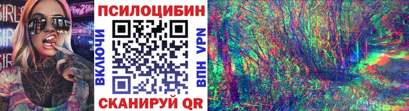 где купить наркоту  Свирск  Псилоцибиновые грибы MAGIC MUSHROOMS 
